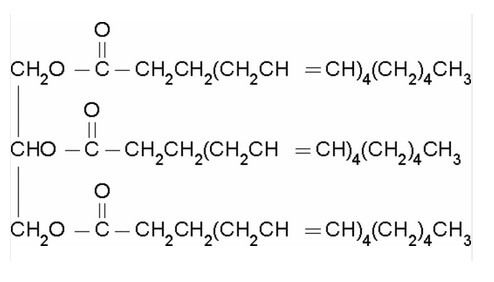 Triarachidonin | CAS 23314-57-0 | SCBT - Santa Cruz Biotechnology