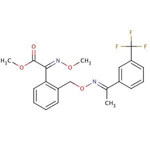 zolpidem acquistare in linea