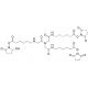 Tris-succinimidyl (6-aminocaproyl)aminotriacetate の分子構造 Tris-succinimidyl (6-aminocaproyl)aminotriacetate - chemical structure image