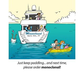 Primary monoclonal antibodies placeholder 1