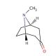 Tropinone (CAS 532-24-1) - chemical structure image