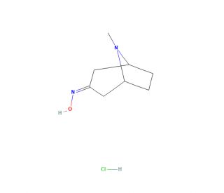 Tropinone oxime hydrochloride (CAS 212079-30-6) - chemical structure image