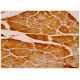Troponin I-SS Antibody (A-12) - Immunohistochemistry - Image 333975 