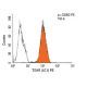 TSHR Antibody (4C1) - Flow Cytometry - Image 9809 