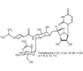 Tunicamycin (CAS 11089-65-9) - chemical structure image