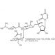 Tunicamycin (CAS 11089-65-9) - chemical structure image