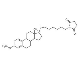 U Cas 12 4 Scbt Santa Cruz Biotechnology