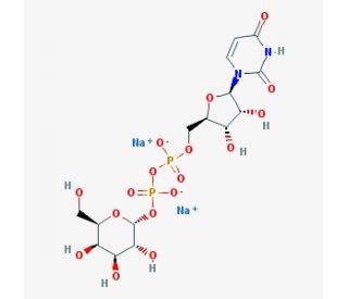 UDP-&alpha;-D-Galactose disodium salt (CAS 137868-52-1) - chemical structure image