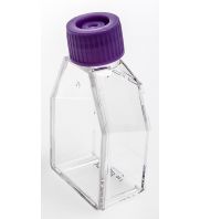 UltraCruz&reg; Flask, Suspension Culture, 25ml, 12.5cm&sup2;, vent cap, case: sc-200257. A high-quality vented cap flask designed f