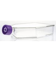 UltraCruz<sup>&reg;</sup> Flask, Tissue Culture, 182cm2, vent cap, case: sc-200264 designed for stability in tissue cultur