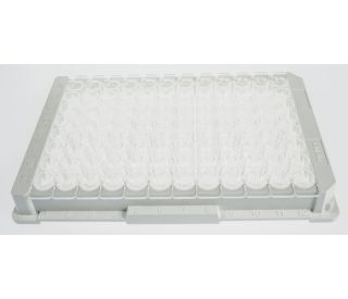 High Binding Multiwell ELISA Microplates – UltraCruz® | SCBT