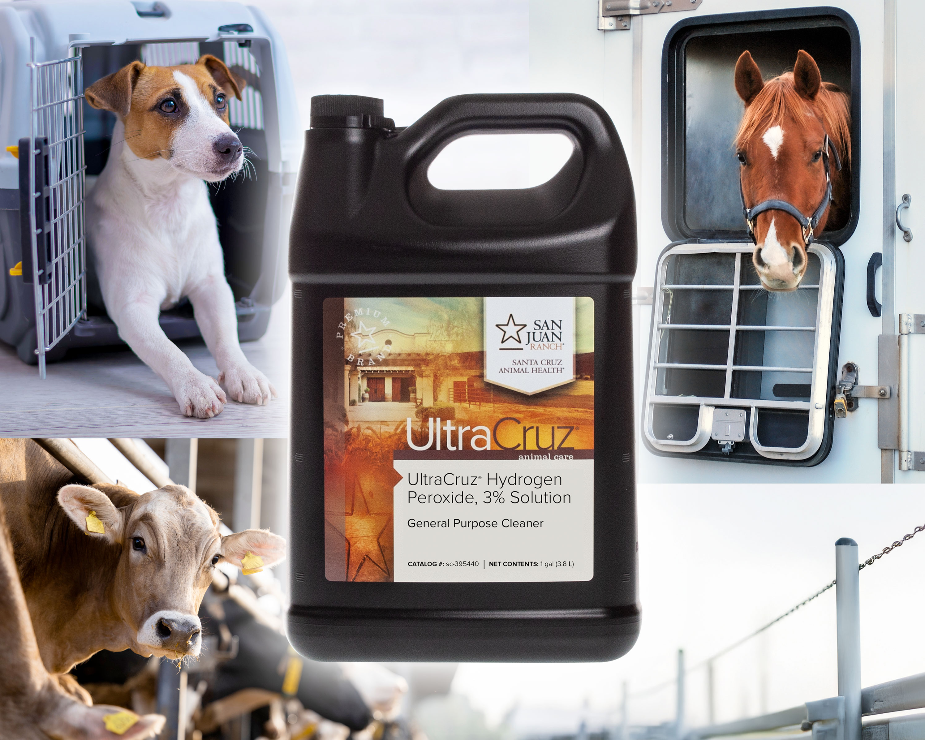 Hydrogen Peroxide, 3% – UltraCruz® | SCBT - Santa Cruz Biotechnology