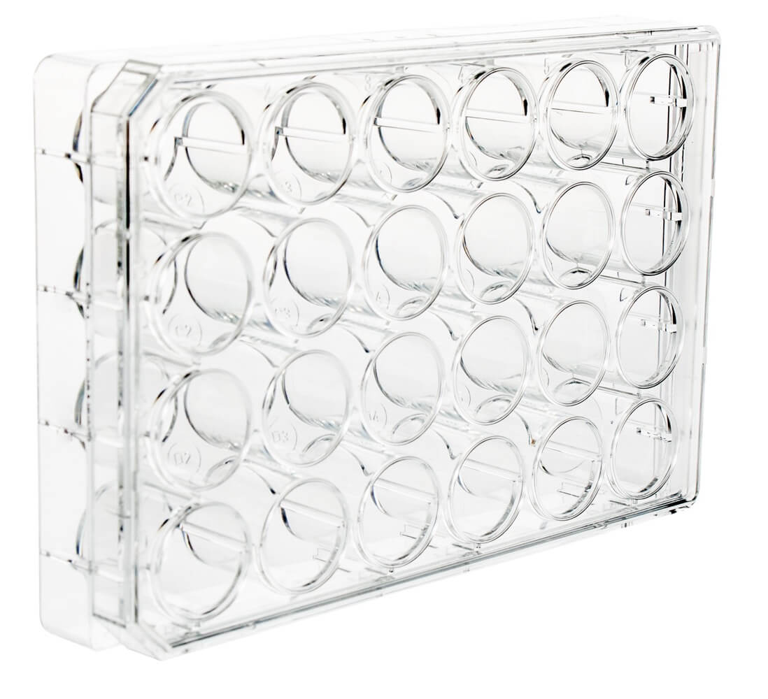 Multiwell Cell Culture Microplates UltraCruz® | SCBT - Santa Cruz