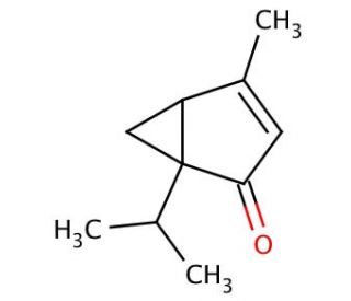 Umbellulone (CAS 546-78-1) - chemical structure image