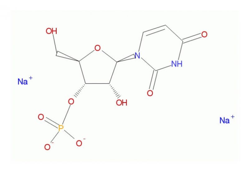 uridine monophosphate