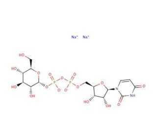 Uridine 5&prime;-diphosphoglucose disodium salt from Saccharomyces cerevisiae (CAS 28053-08-9) - chemical structure image