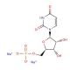 Uridine 5′-monophosphate disodium salt (CAS 3387-36-8) - chemical structure image