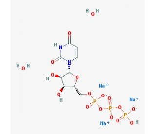 Uridine-5&prime;-triphosphate trisodium salt dihydrate (CAS 116295-90-0) - chemical structure image