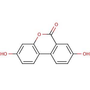 Urolithin A | CAS 1143-70-0 | SCBT - Santa Cruz Biotechnology