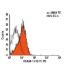 VCAM-1 Antibody (1G11) - Flow Cytometry - Image 6020 