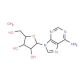 Vidarabine Monohydrate (CAS 24356-66-9) - chemical structure image