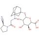 Vildagliptin β-D-Glucuronide (CAS 1147403-03-9) - chemical structure image