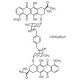 WP631 methanesulfonate - chemical structure image
