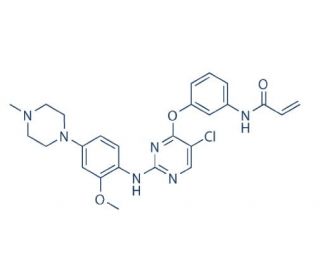 WZ 4002 (CAS 1213269-23-8 ) - chemical structure image