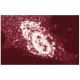 X11γ Antibody (32) - Immunofluorescence - Image 60715 