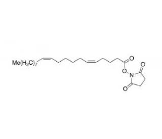 (Z,Z)-5,11-Eicosadienoic Acid N-Hydroxysuccinimide (CAS 1798394-85-0) - chemical structure image