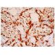 ZAC1 Antibody (C-7) - Immunohistochemistry - Image 310433 