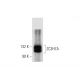 ZC3H7A Antibody (B-3) - Western Blotting - Image 311981 