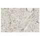 ZHX2 Antibody (Z-07) - Immunohistochemistry - Image 36358 