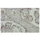 ZNF345 Antibody (38-H) - Immunohistochemistry - Image 36281 