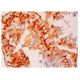ZNF35 Antibody (C-11) - Immunohistochemistry - Image 315745 