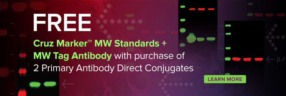 Free Cruz Marker MW Standards and MW Tag antibody with purchase of 2 primary antibodies.